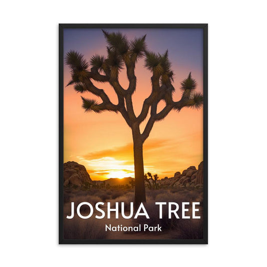 Joshua Tree National Park Framed poster
